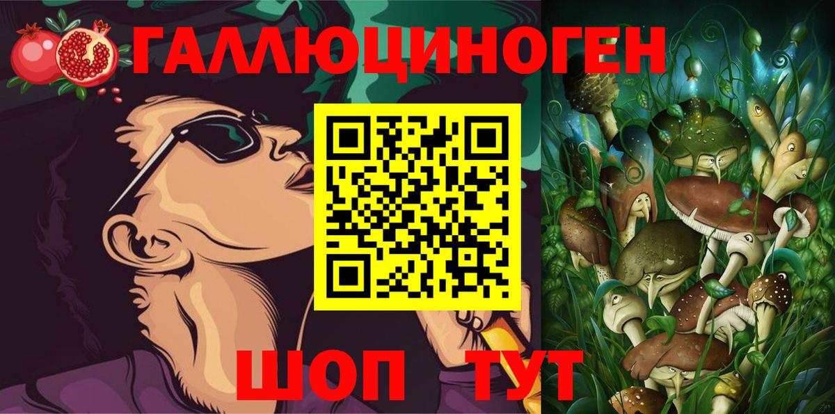 купить закладку  Псилоцибиновые грибы ЛСД  Вход с VPN  Шадринск 